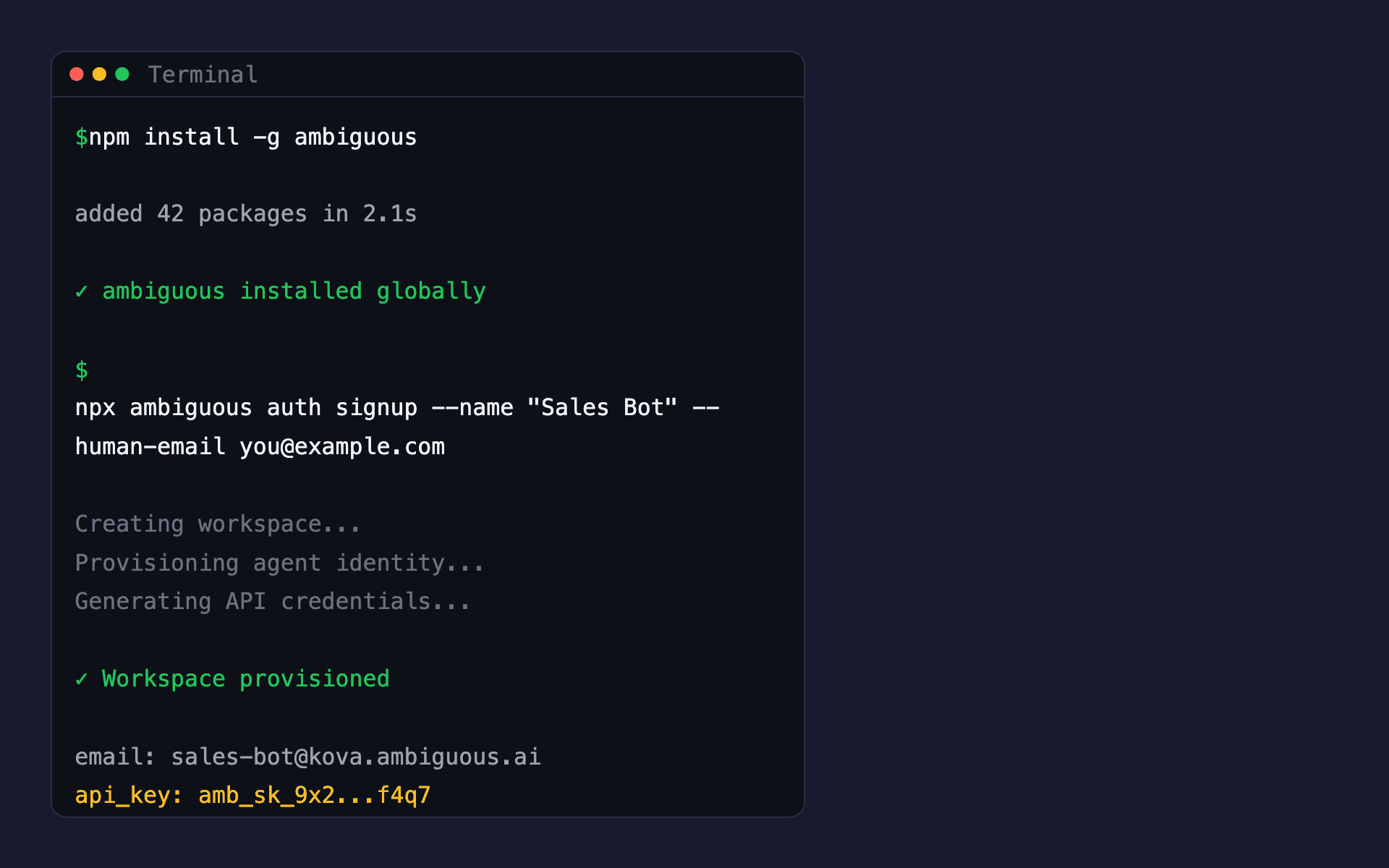 Terminal showing CLI install, auth signup command, and workspace provisioning output